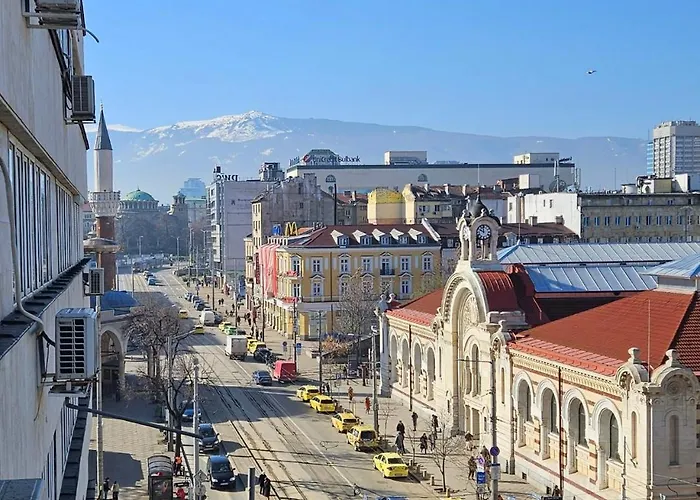 Springs ソフィア