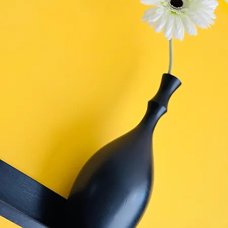 شقة Springs *